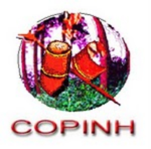 logo_copinh
