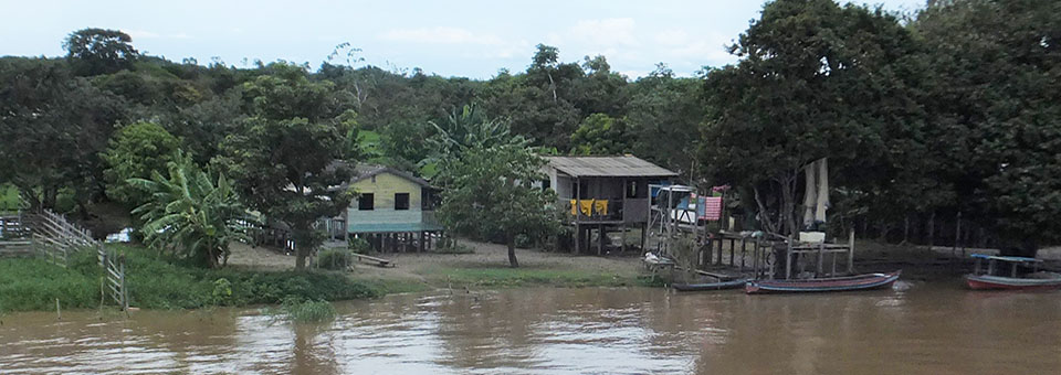 Struggles for land, forests and food sovereignty | Bulletin issue 237 – April 2018