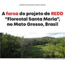 Aviación y falsas soluciones: La farsa del proyecto REDD “Forestal Santa María”, en Mato Grosso, Brasil