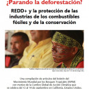 ¿Parando la deforestación? REDD+ y la protección de las industrias de los combustibles fósiles y de la conservación