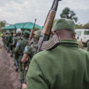 ¡Los violentos altercados en el Parque Nacional Kahuzi Biega, RDC, deben terminar!