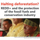 2019 | Halting Deforestation? REDD+ and the Protection of the Fossil Fuels  and Conservation Industry