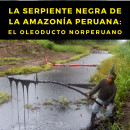 La serpiente negra de la Amazonia peruana: el oleoducto norperuano