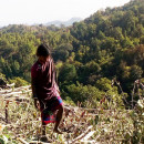 La pandemia en los bosques en India: escalada de ataques a las comunidades