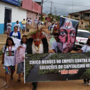 La deforestación de la Amazonia y el dinero de REDD+ que sigue llegando a Brasil