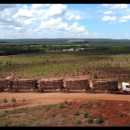 (Vídeo) Brasil: Denúncia de impactos da produção de celulose na região da Comunidade de Curvelândia (MA)