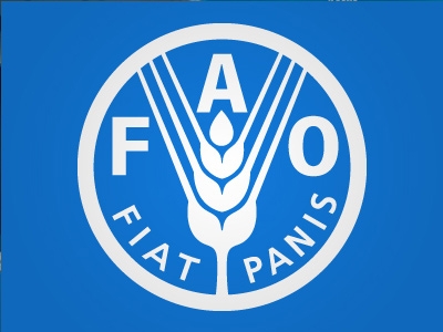 Fao Wrm En Francais