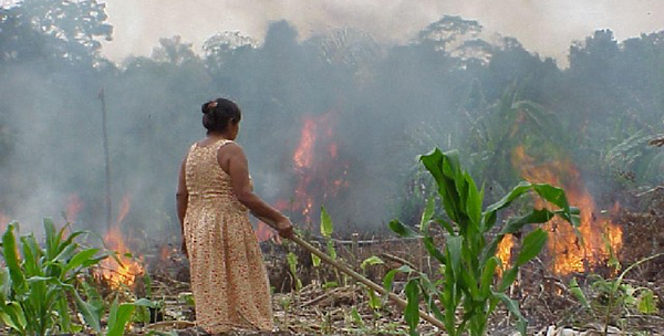 L Amazonie Un Territoire Pris Entre Des Feux Croises Wrm En Francais