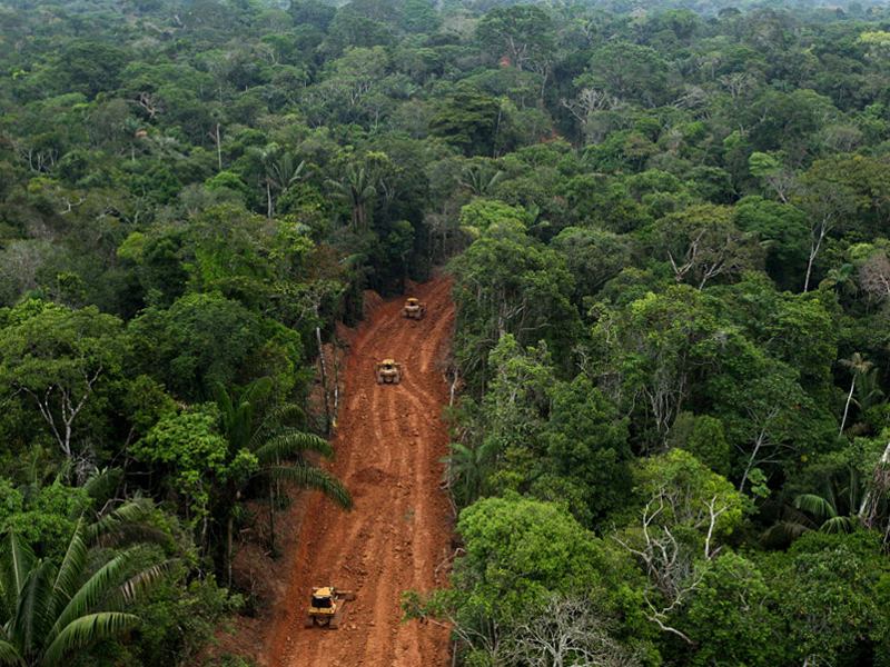 What are the effects of deforestation in the ? - Internet