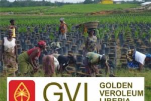 Ecuador: Stop land grabbing and racial discrimination for palm oil