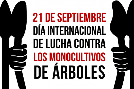 Día Internacional del Lucha contra los Monoculitvos de Árboles 2022 |  Movimiento Mundial por los Bosques Tropicales