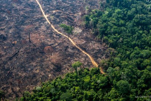 Infrastructure and Extraction: A Host of Deforestation