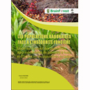 Étude sur l’impact des plantations agro-industrielles de palmiers à huile et d’hévéas sur les populations du Gabon
