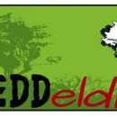 Declaration of Chiapas in REDDellion: Enough of REDD+ and the Green Economy!