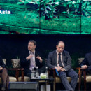 A summit on forests with “experts” and without communities