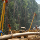 Large-scale infrastructure projects in forests: Constructing a base without a foundation