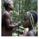 Cameroon: WWF complicit in tribal people’s abuse