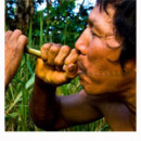 Peru: The Matsés, last shamans of the Amazon rainforest, fight back against transnational oil company