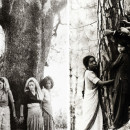 Learning from India’s Chipko movement: fighting for feminism and for the environment