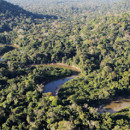 Congo Basin Rainforest Project: Communities leery of “Conservation Revolution”