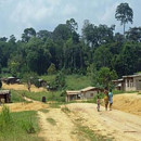 Gabon: Plans to market carbon, biodiversity, ecosystems and community “capital”