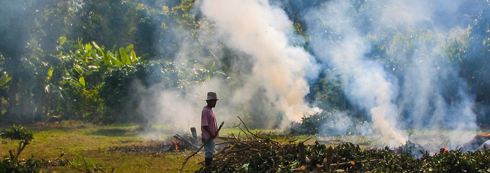 Good fire or bad fire, who decides? A reflection on fire and forests | Bulletin 238 – June 2018