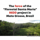 Aviation and false solutions: The farce of the “Florestal Santa Maria” REDD project in Mato Grosso, Brazil