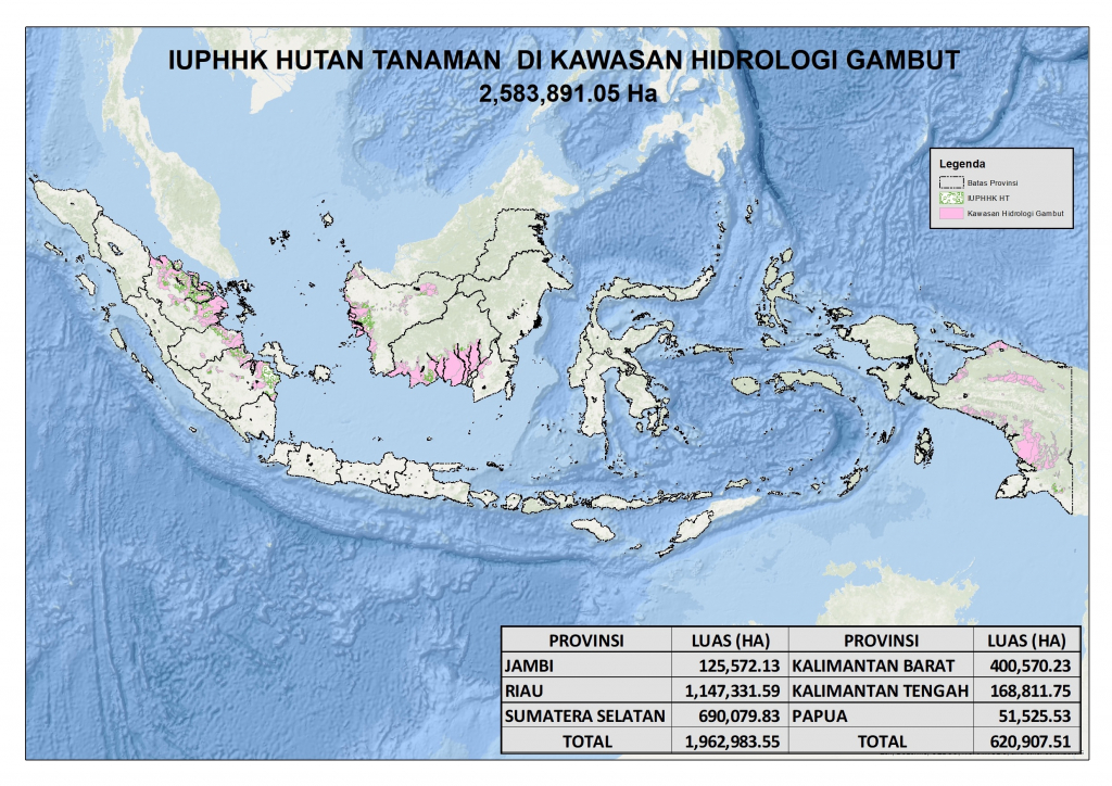 Indonesia The Trail Of Destruction Behind A Sheet Of Paper Wrm In English