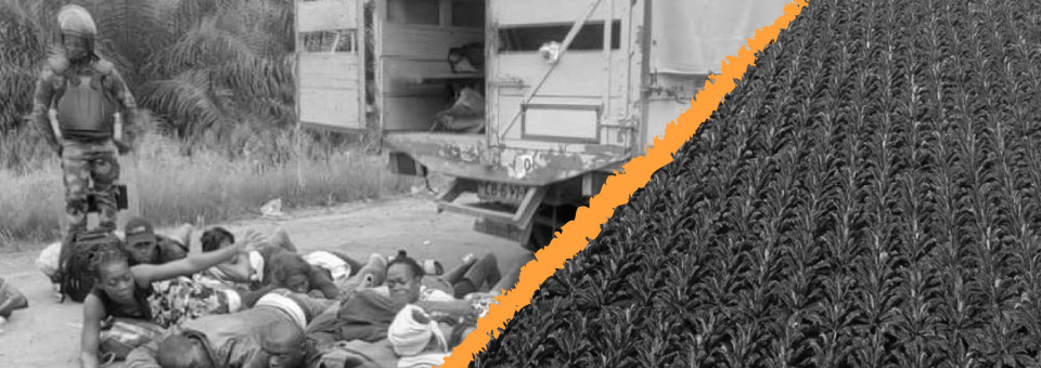 Sign the statement! RSPO: 14 years failing to eliminate violence and destruction from the industrial palm oil sector