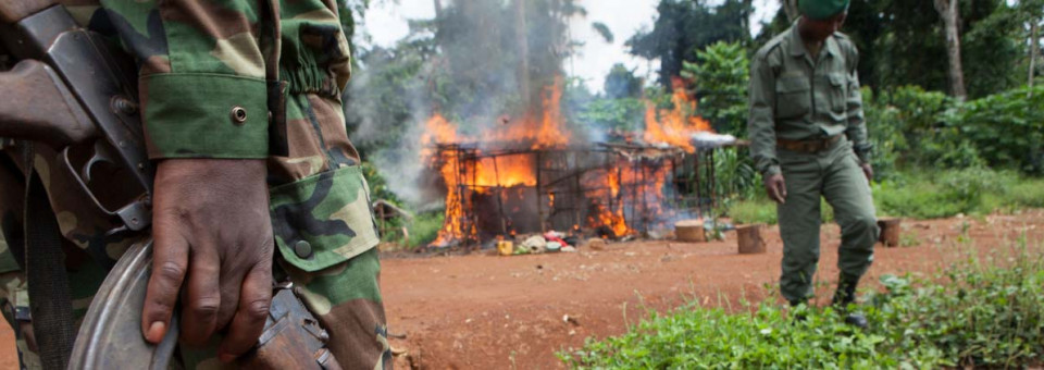 Conservation NGO’s: Whose Interests are They Really Protecting? | Bulletin 242 – Jan/Feb 2019