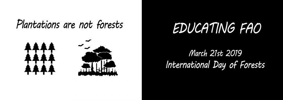 Educating FAO: an urgent need! | March 21st 2019 – International Day of Forests