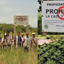 Colombia: Palm-Producing Company Poligrow Plans to Grab more Land under the “Small Producers” Scheme