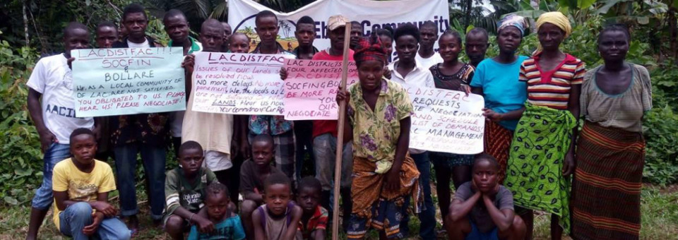 Development Banks: Financing Dispossession and Exploitation | Boletín 252 – September / October 2020