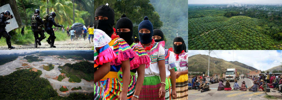 Crime, Power and Impunity in Forests | Bulletin 253 – November / December 2020