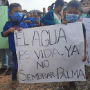 Oil Palm Monoculture in Ixcán Municipality, Guatemala: A Story of Dispossession and Deception