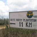Local Communities in Tanzania Continue to Face Problems Brought by Green Resources’ Tree Plantations
